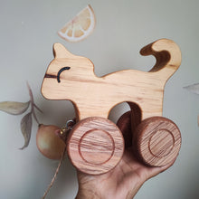 Cargar imagen en el visor de la galería, Gatito Americuchi  rodante