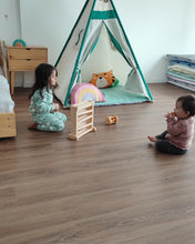 Cargar imagen en el visor de la galería, Pasa bolitas - gama básica