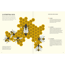 Cargar imagen en el visor de la galería, El mundo de las abejas