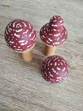 Cargar imagen en el visor de la galería, Set de tres hongos maxi