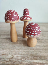 Cargar imagen en el visor de la galería, Set de tres hongos maxi