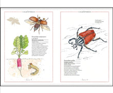 Cargar imagen en el visor de la galería, Inventario ilustrado de insectos