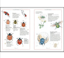 Cargar imagen en el visor de la galería, Inventario ilustrado de insectos