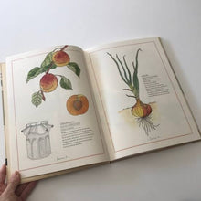 Cargar imagen en el visor de la galería, Inventario ilustrado de frutas y verduras
